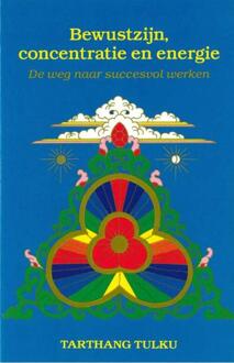 Bewustzijn, concentratie en energie - Boek Tarthang Tulku (907372810X)