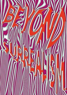 Beyond Surrealism -  Saskia van Kampen-Prein (ISBN: 9789069183350)