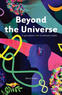 Beyond the Universe - Allerd Stikker - ebook