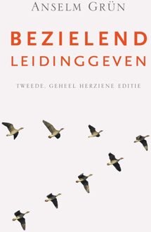 Bezielend leidinggeven - eBook Anselm Grün (9025905048)