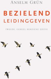 Bezielend leidinggeven - eBook Anselm Grün (9025905048)