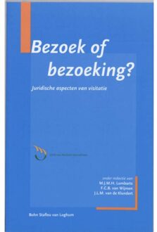 Bezoek of bezoeking? - Boek Springer Media B.V. (9031346551)