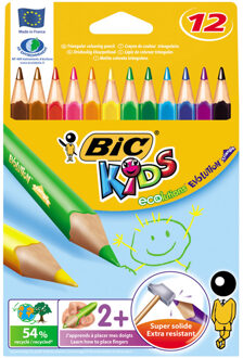 Bickids Bic kleurpotlood Ecolutions Evolution Triangle 12 potloden in een kartonnen etui