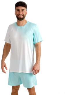 Bidi Badu Crew 2.0 T-shirt Heren-turkoois, wit - L