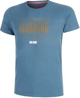 Bidi Badu Spectrum Chill T-shirt Heren-Blaugrau blauwgrijs - XS