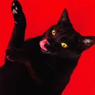 Big Colors (LP + 7 inch) (Coloured Vinyl)