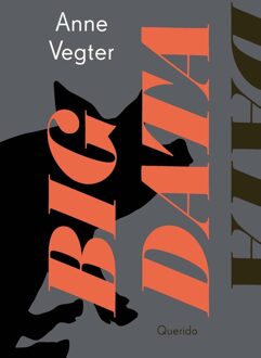 Big data - Anne Vegter - ebook