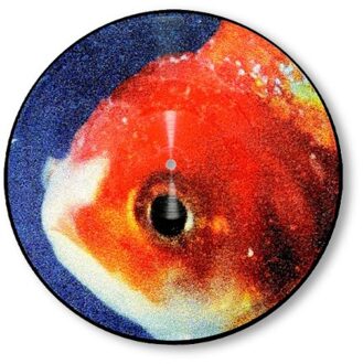 Big Fish Theory (LP)