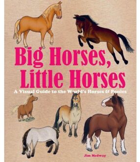 Big Horses, Little Horses