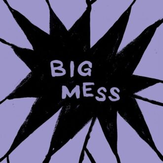 Big Mess - Public Body