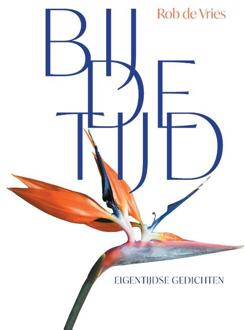 Bij De Tijd - Rob de Vries