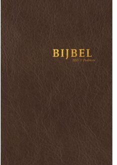 Bijbel (HSV) met psalmen - met goudsnee - (ISBN:9789065395016)