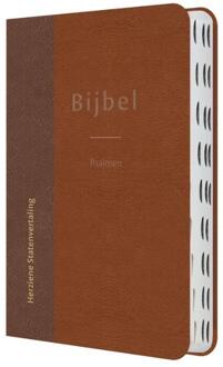 Bijbel met psalmen -   (ISBN: 9789065395399)