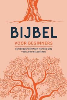 Bijbel voor beginners -   (ISBN: 9789089124371)