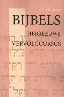 Bijbels Hebreeuws / Vervolgcursus - Boek H. Jagersma (9057190869)
