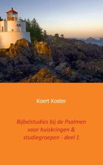 Bijbelstudies bij de Psalmen voor huiskringen & studiegroepen - deel 1 - Boek Koert en Marleen Koster (946193789X)