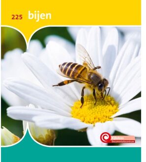 Bijen - De Kijkdoos - Minke van Dam