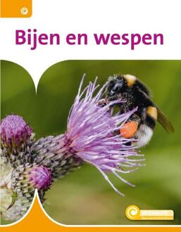Bijen en wespen - Informatie