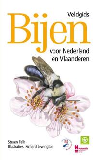 Bijen - Veldgids voor Nederland en Vlaanderen -  Richard Lewington, Steven Falk (ISBN: 9789043932202)