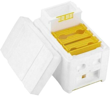 Bijenkorf Bijenteelt Koning Doos Bestuiving Doos Schuim Frames Bijenteelt Tool Kit Bijenkorf Doos Oogst Bijenkorf Bestuiving Bijenteelt