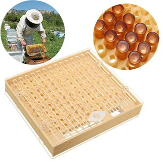 Bijenteelt Compleet Mobiele Cup Kit Cultiveren Doos Catcher Kooi Bijenteelt Apicult Oogst Bijenkorf Massief Ceder Eps