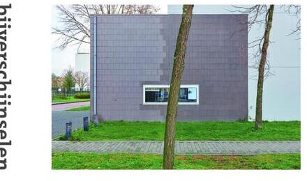 Bijverschijnselen -  A.L. Snijders, Hoexum Pieter, Kaai Allard (ISBN: 9789462265172)