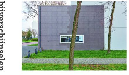 Bijverschijnselen - Kaai Allard