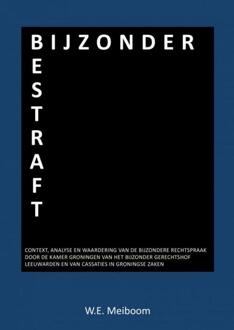 Bijzonder bestraft - Boek W.E. Meiboom (9463183213)