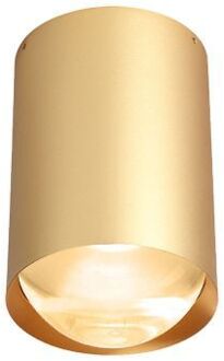 Bily 16 up Plafondlamp - Goud frame - Gouden ring