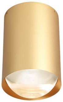 Bily 16 up Plafondlamp - Goud frame - Zilveren ring