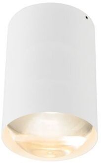 Bily 16 up Plafondlamp - Wit frame - Zilveren ring