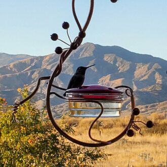 Binnenplaats Opknoping Vogel Feeder, Rode Bessen Hummingbird Feeder Metalen Beugel Vogel Feeder Vogelkooi Huisdier Accessoires