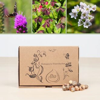 Bio zomerbloemen mix voor bijen (brievenbusdoosje)