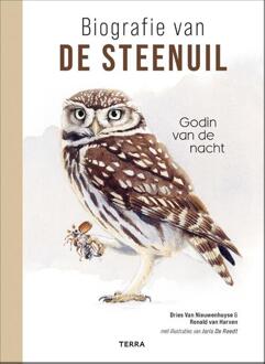 Biografie van de steenuil -  Dries van Nieuwenhuyse, Ronald van Harxen (ISBN: 9789020952278)