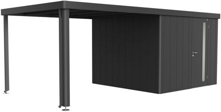 BIOHORT Overkapping Voor Tuinhuis Neo 3a/3b/3c/3d Donkergrijs Metallic 300x291x220cm