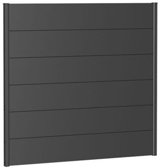 BIOHORT Recht Paneel Voor Tuinscherm Zonder Acrylglas Donkergrijs Metallic 150x135cm