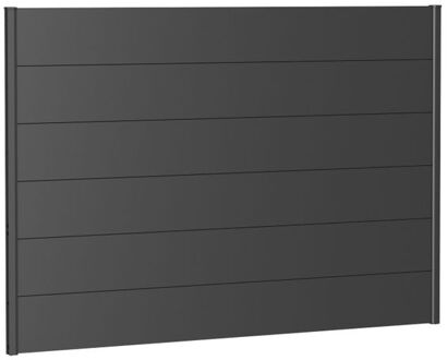 BIOHORT Recht Paneel Voor Tuinscherm Zonder Acrylglas Donkergrijs Metallic 200x135cm