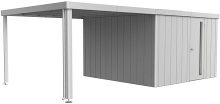 BIOHORT Zijdak Tuinhuis Neo 4a/4b/4c/4d Zilver Metallic