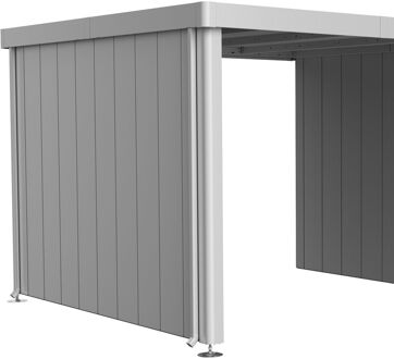 BIOHORT Zijwand Voor Zijdak Tuinhuis Neo 3a/3b/3c/3d Zilver Metallic