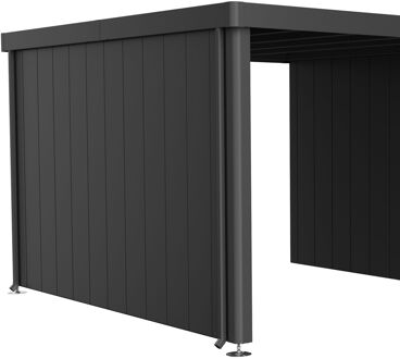 BIOHORT Zijwand Voor Zijdak Tuinhuis Neo Gr. 4a/4b/4c/4d Kwartsgrijs Metallic