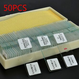Biologie 10/25/50/100/200 Voorbereid Glas Microscoop Specimen Slides School en Laboratorium Engels Label onderwijs Monsters 50stk