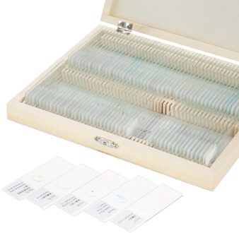 Biologie 25/100 Stuks Bereid Microscoopglaasje School En Laboratorium Met Chinese Engels Label Onderwijs Monsters 100stk