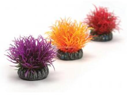 biOrb decobal set paars/oranje/rood