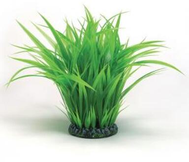 biOrb Grass Ring - Aquarium Plant - Large - Groen