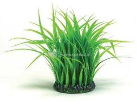 biOrb Grass Ring - Aquarium Plant - Medium - Groen