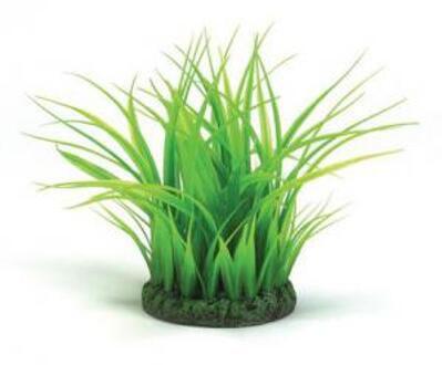 biOrb Grass Ring - Aquarium Plant - Small - Groen