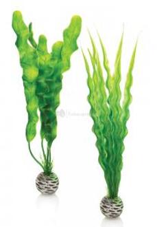 biOrb planten medium groen aquarium decoratie