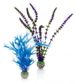 biOrb plantenset blauw & paars - middel