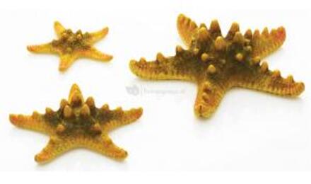 biOrb zeester set - geel