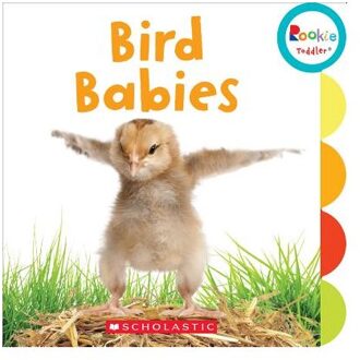 Bird Babies (Rookie Toddler)